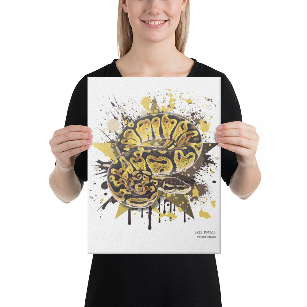 Art Print on Canvas - Python regius - Ball Python