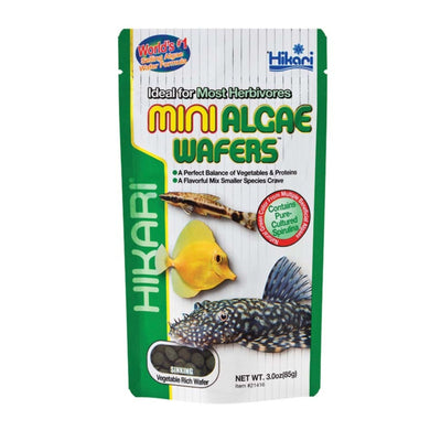 Hikari USA Algae Wafers Sinking Wafer Fish Food 1ea/2.2 lb, Mini