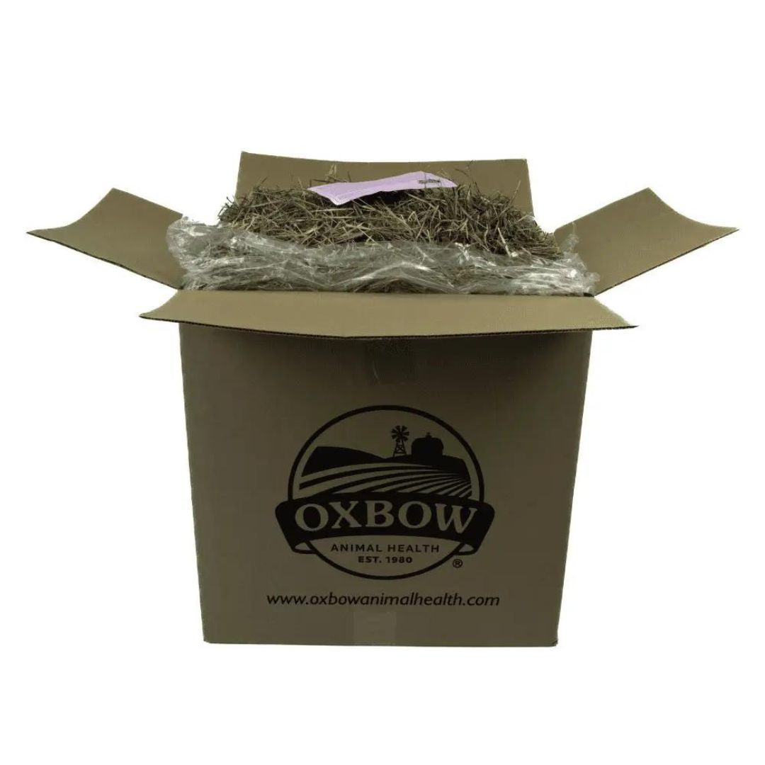 Oxbow Animal Health Western Timothy Hay 1ea/25 lb