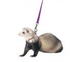 Marshall Pet Products Ferret Harness and Lead Set Purple 1ea