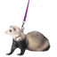 Marshall Pet Products Ferret Harness and Lead Set Purple 1ea