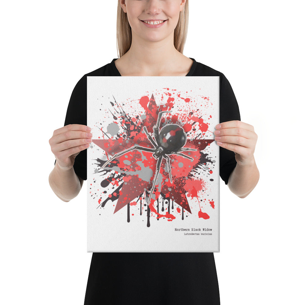 Art Print on Canvas - Latrodectus variolus - Northern Black Widow